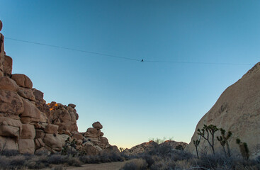 Man lays on highline over huge canyon in Joshua Tree.