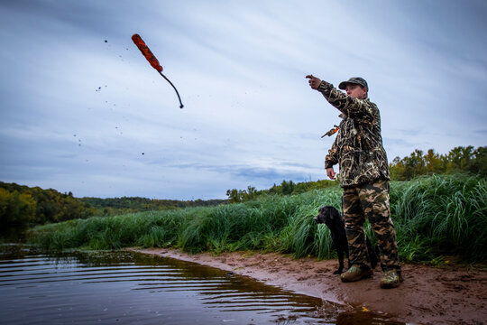 Hunter training dog for duck hunting