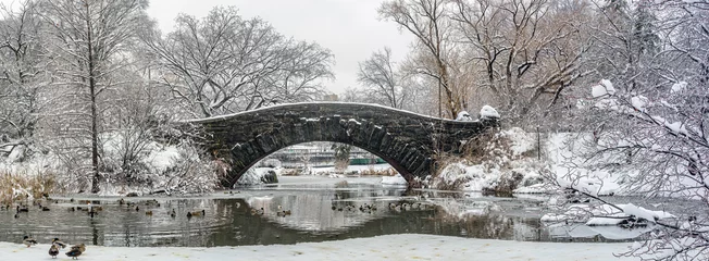 Fotobehang Gapstow Brug Gapstow Bridge in Central Park