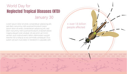 World Day for Neglected Tropical Diseases.30 January.
