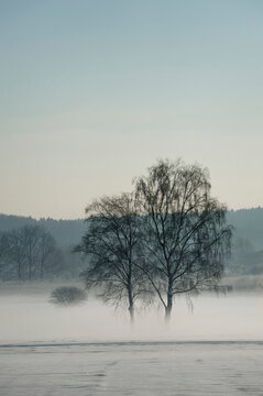 Winter landscape, Bavaria, Germany