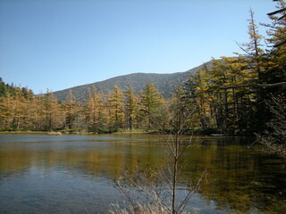 Autumn leaves in Kamikochi of Japan alps in Nagano, Japan