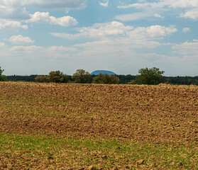 Field with shrubs around and Rip hill on the background in Czech republic
