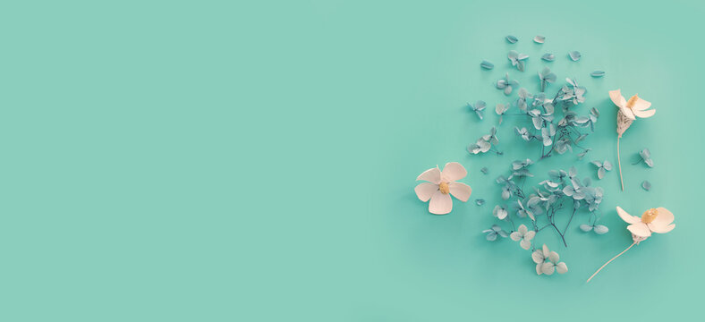 Top view image of white and blue dry flowers over mint background .Flat lay