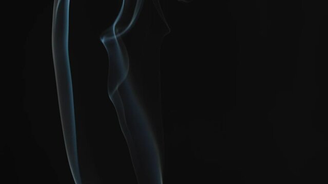 Slow motion smoke on a black background. 