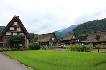 Fototapeta na wymiar Old town of Shirakawa-go in Gifu, Japan