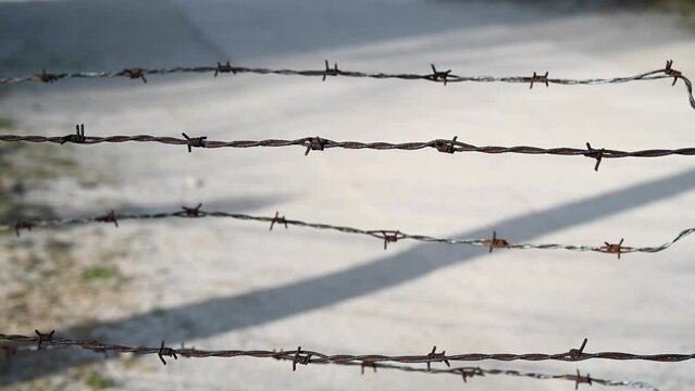 Barbed wire in concentration camp. Close-up of sharp wire fence. Rusty metal barbered wire. 