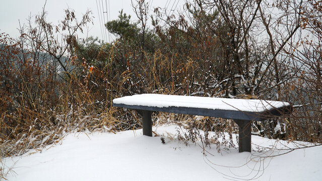 https://papago.naver.com/#:~:text=a%20view%20of%20the%20snow%2Dcovered%20bench