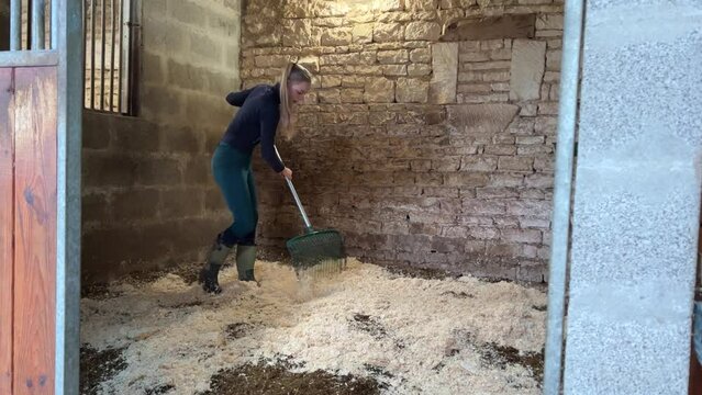 Girl spreading out horse bedding shavings with a pitchfork in a stables box