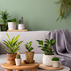 Stylish composition of home garden interior filled a lot of beautiful plants, cacti, succulents,...