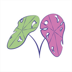 Bright Green and Purple Leaves