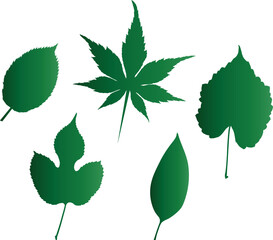 Vector set of decorative floral green leaf