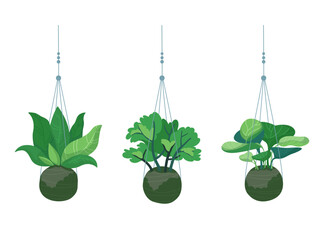 Vector illustration isolated on white background. Set of indoor hanging plants. Hanging kokedama plants. A new hobby for decorating an apartment.