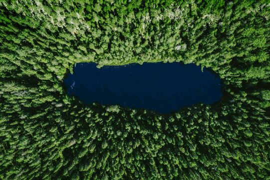 Aerial view of green wild forest and deep blue lake in Finland