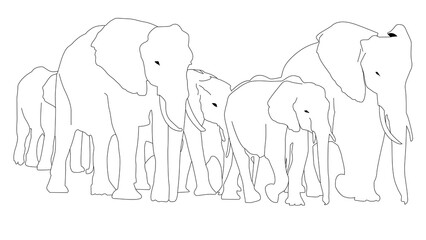 Line of a drawing of some elephants walking