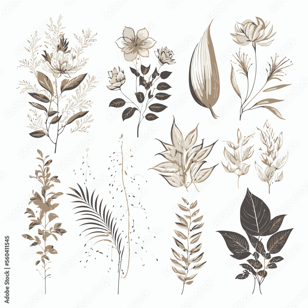 Poster set botanical hand drawn vector element. hand-drawn illustration isolated on white background