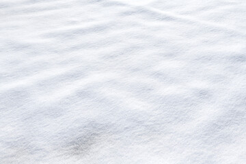 Fototapeta premium 雪景色