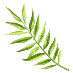 Stylized illustration of palm branch. Image for design.