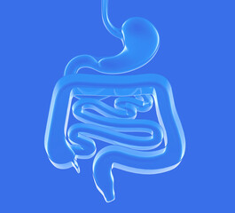 3d illustration of transparent glass of the digestive system. Large and small intestine. Top view resting on the ground.