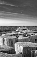 In the Baltic Sea groynes rise into the horizon in black and white. Breakwater