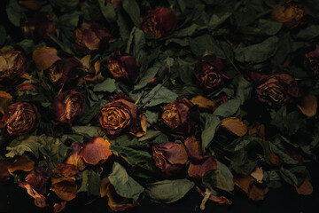 Roses Macro close up multicolored orange dried rose bloom bouquet in ceramic retro vase Black...