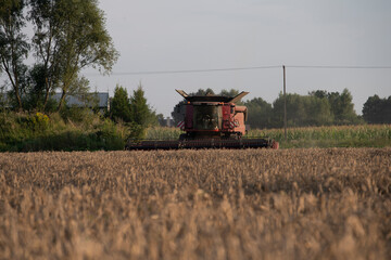 grain harvester, wheat harvest, wheat harvester at work, harvester in the field, harvester working...
