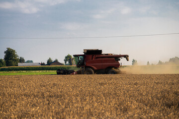 grain harvester, wheat harvest, wheat harvester at work, harvester in the field, harvester working...