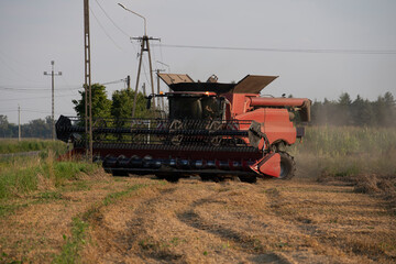 Fototapeta premium grain harvester, wheat harvest, wheat harvester at work, harvester in the field, harvester working at harvest time
