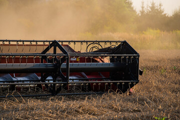 grain harvester, wheat harvest, wheat harvester at work, harvester in the field, harvester working...