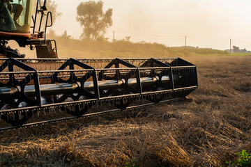 grain harvester, wheat harvest, wheat harvester at work, harvester in the field, harvester working...