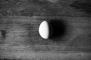 white egg on a dark background