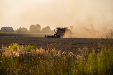 grain harvester, wheat harvest, wheat harvester at work, harvester in the field, harvester working...