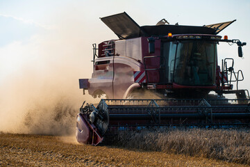 grain harvester, wheat harvest, wheat harvester at work, harvester in the field, harvester working at harvest time