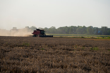 grain harvester, wheat harvest, wheat harvester at work, harvester in the field, harvester working at harvest time