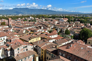 Widok na miasto Lukka z wieży Guinigi, Toskania, Włochy - obrazy, fototapety, plakaty
