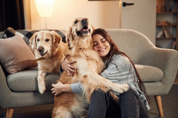 Friendly animals. Woman is with two golden retriever dogs at home