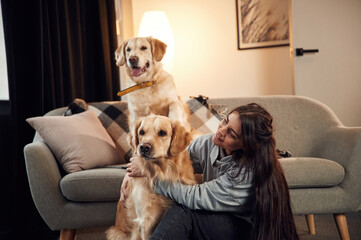 Friendly animals. Woman is with two golden retriever dogs at home