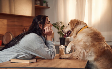 Side view. Sitting by the table together. Woman is with golden retriever dog at home