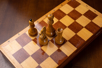 Chess photographed on a chessboard
