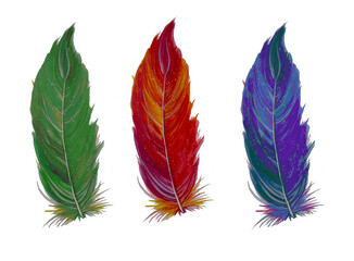 Feathers are bright colored in the set
