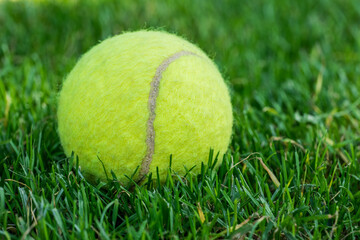 tennis ball on mowed grass