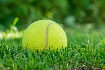 tennis ball on mowed grass