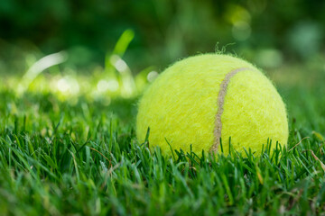 tennis ball on mowed grass