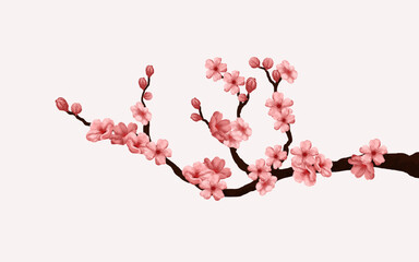 watercolor cherry blossom vector. cherry blossom branch with sakura flower. sakura white background. watercolor cherry bud. cherry blossom flower blooming.vector pink sakura flower background