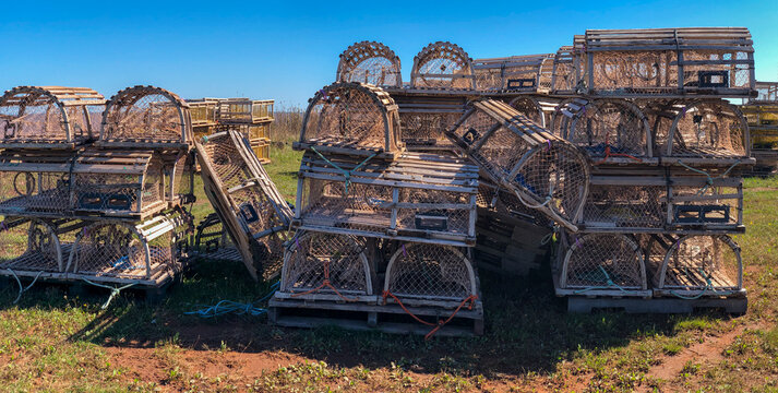 Stacks of traps for harvesting lobsters in a coastal field, Island Trail, Prince Edward Island, Canada