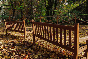 Empty wooden benches at a park with fallen leaves around trees during fall in Villa Belgiojoso Bonaparte garden Milan, Italy.