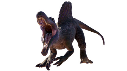 Spinosaurus roaring dinosaur isolated on blank background PNG
