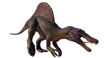 Spinosaurus roaring dinosaur isolated on blank background PNG