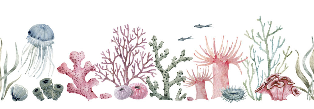 Seamless border in nautical style with corals and seashells, watercolor illustration.