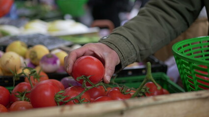 Hand picking fresh tomatoes at street food market